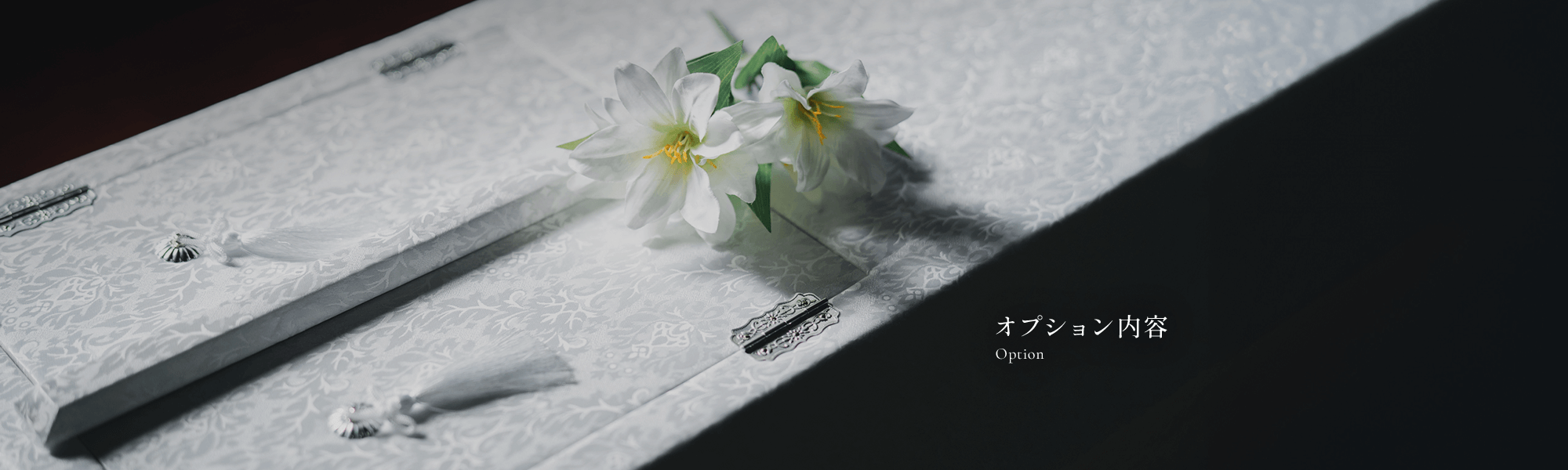 オプション内容